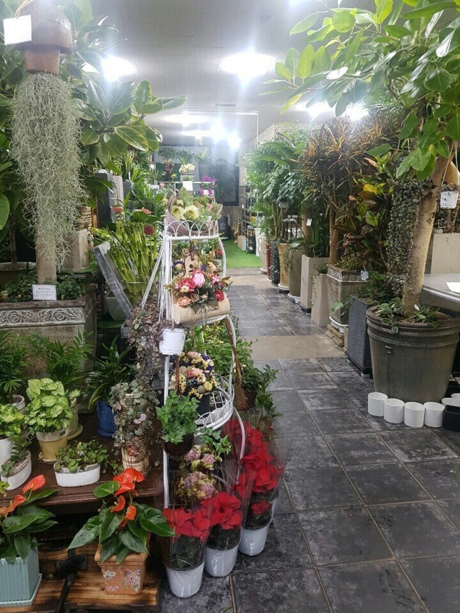 영창꽃식물원