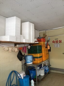 목포홍어수산