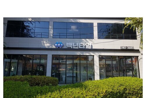 백년타일