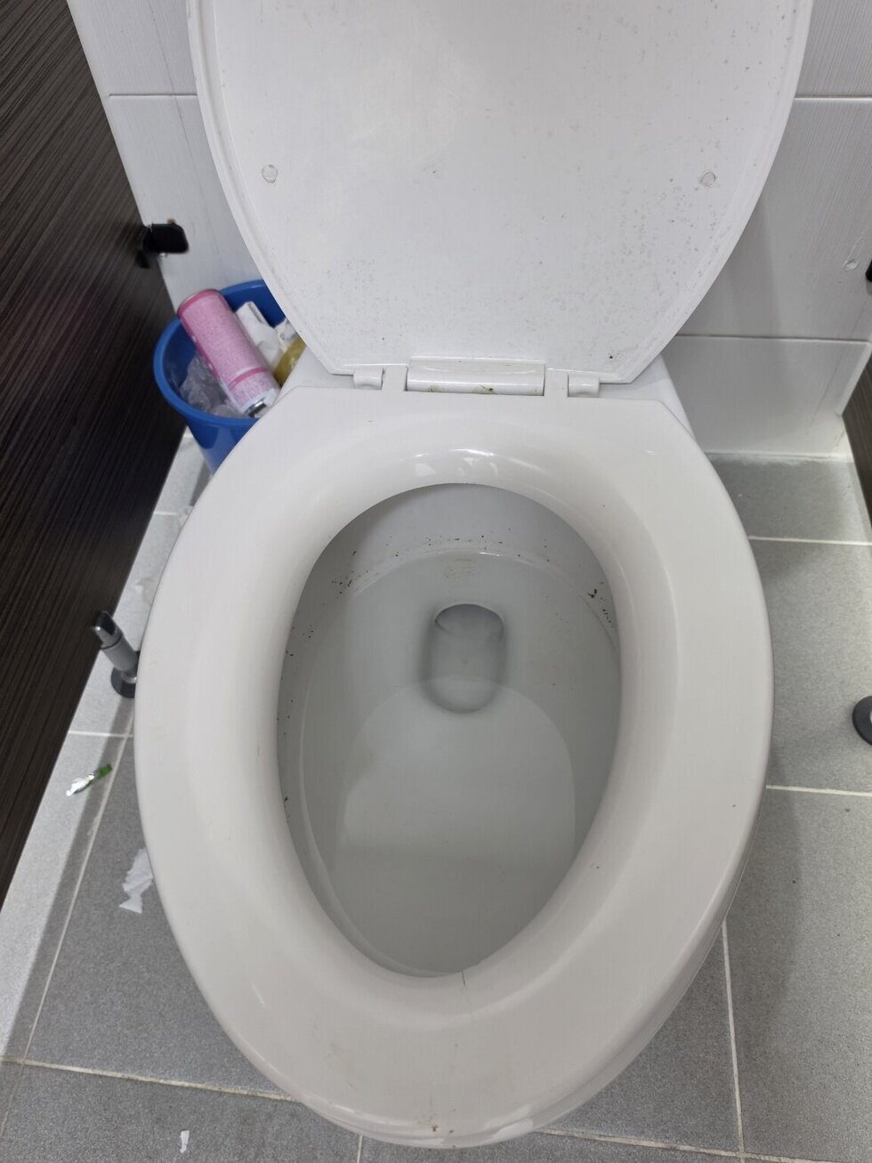 변기 안쪽은 물론、뚜껑에도 곰팡이가 가득입니다。