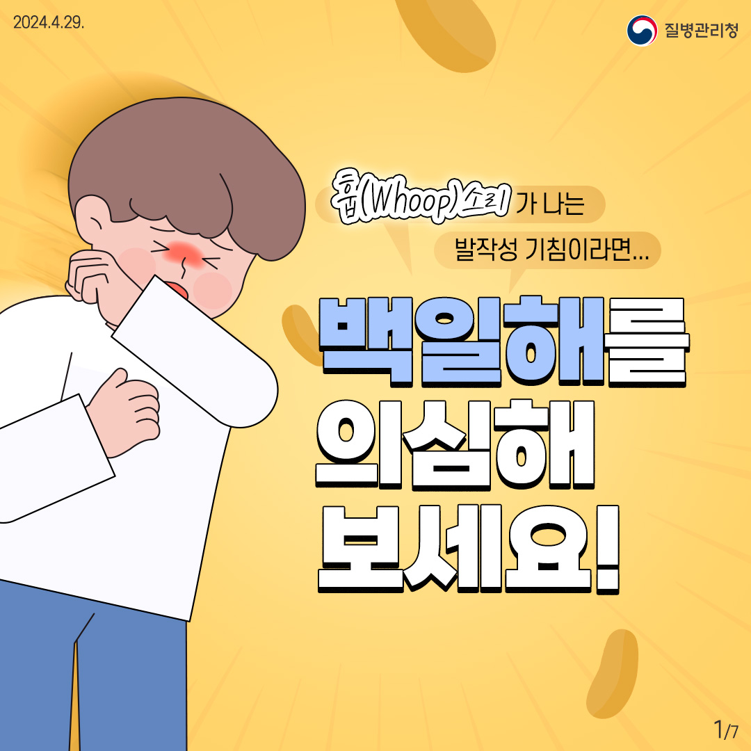 질병관리청 백일해 예방 카드뉴스 1/7