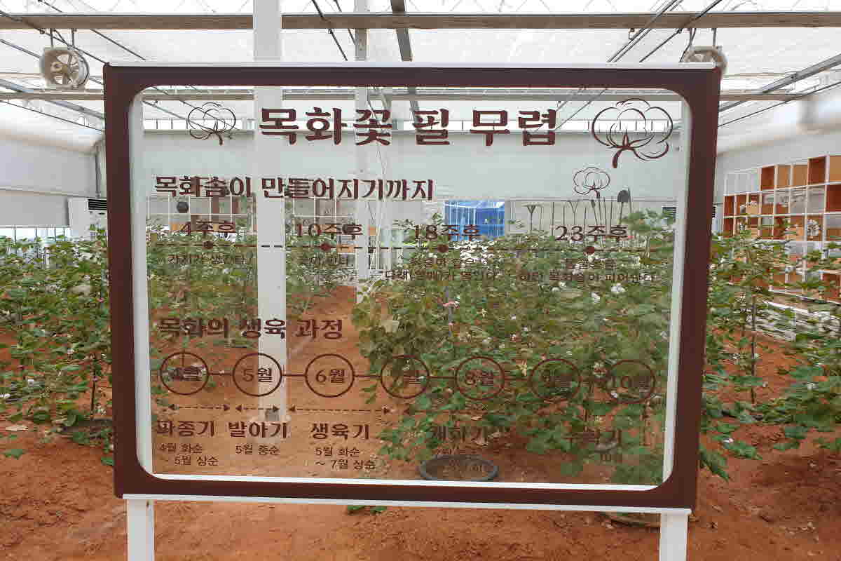 목포여행 고하도를 가다